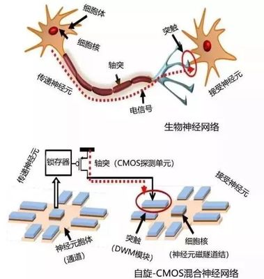 中国电子学会:新一代人工智能领域10大最具成长性技术展望